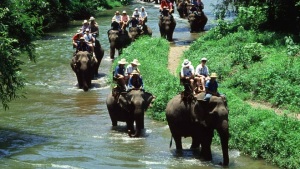 bali_elephant_ride_seminyak