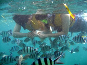Nusa Dua Snorkeling