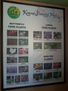 Ubud butterfly park