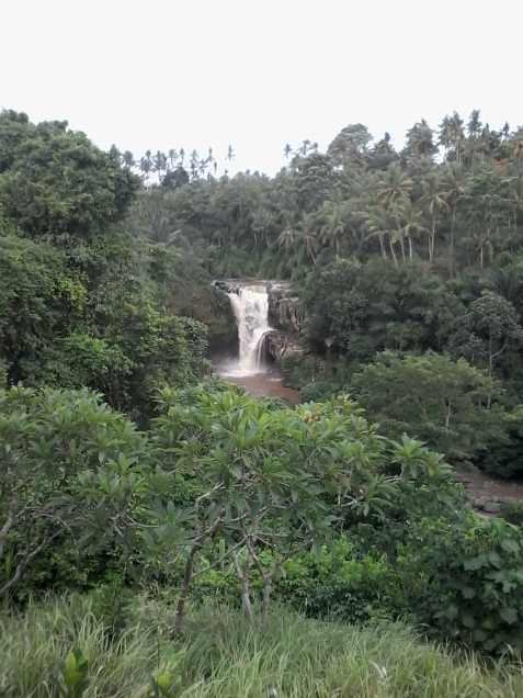 Treeking at Waterfall