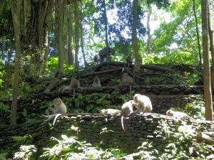 ubud_monkey_forest