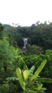 Ubud_waterfall