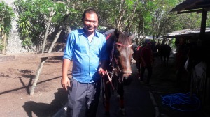 seminyak_bali_horse_riding