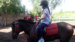 seminyak_horse_riding
