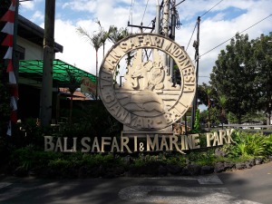 bali_safari_and_marine_park