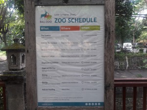 Bali_zoo_schedule