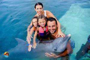 bali_swiming_with_dolphin